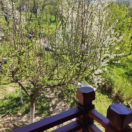 Vakantiehuis Nova Kuca U Prirodi U Vrdniku Vrdnik